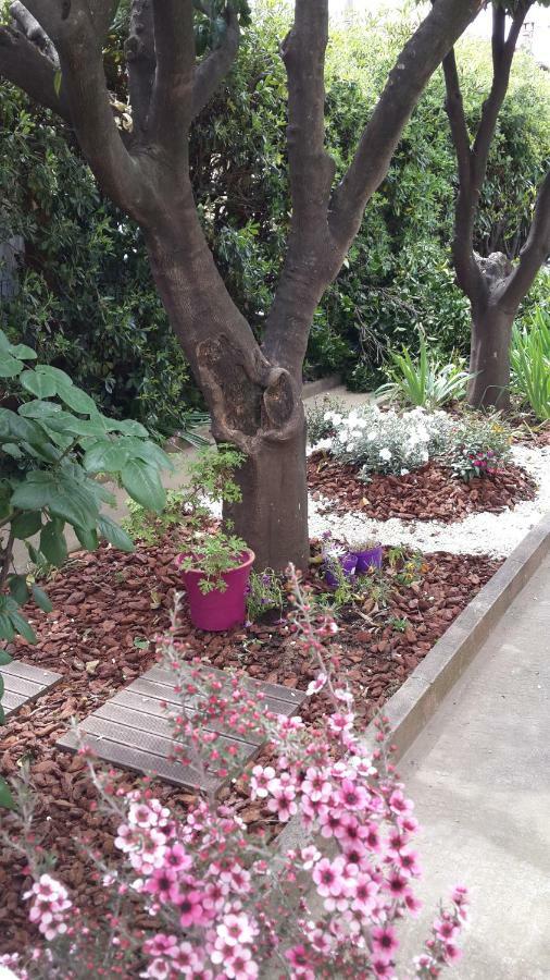 Lovely House Appartamento Cagnes-sur-Mer